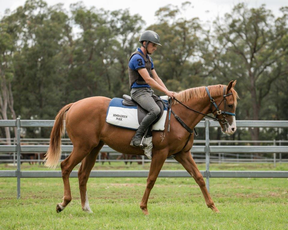 SCISSOR KICK x MISS BAX Colt with The People's Trainer RICHARD FREEDMAN